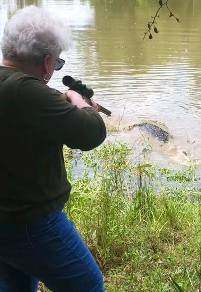 73岁老妇为爱驹报仇，一枪解决4米长巨鳄！