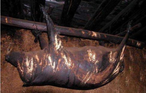 一头猪被吊30年，成为臭猪肉之后，有人出价56万主人却不愿意卖