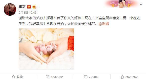 张杰庆生首晒双胞胎女儿，网友被10个月宝贝的发量惊呆