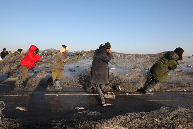 查干湖头鱼拍出百万天价！昨天，杭州人已经尝到了千里之外的鱼鲜