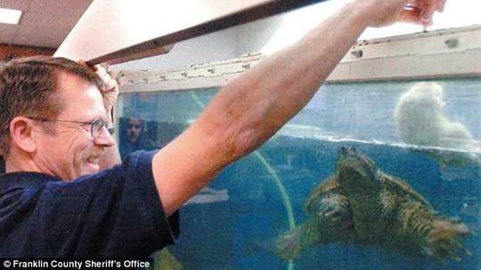 美国一老师当着学生的面向鳄龟投喂一只活的小狗引民愤