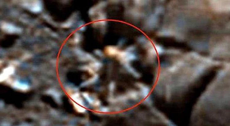 好奇号发现类似虎头和智人的头骨化石，火星真的有过文明？