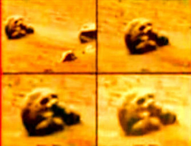 好奇号发现类似虎头和智人的头骨化石，火星真的有过文明？