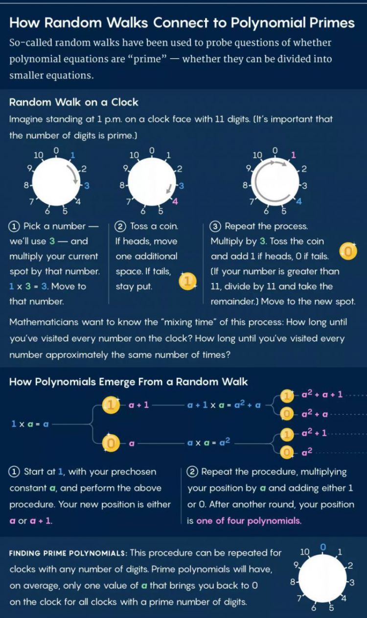在方程的宇宙中，几乎都是质数？