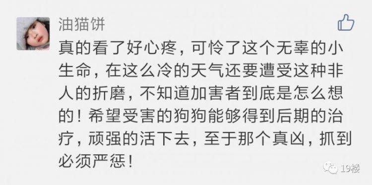 险出人命！杭州男网友深夜在市中心遇惊险一幕：这算什么狐朋狗友！