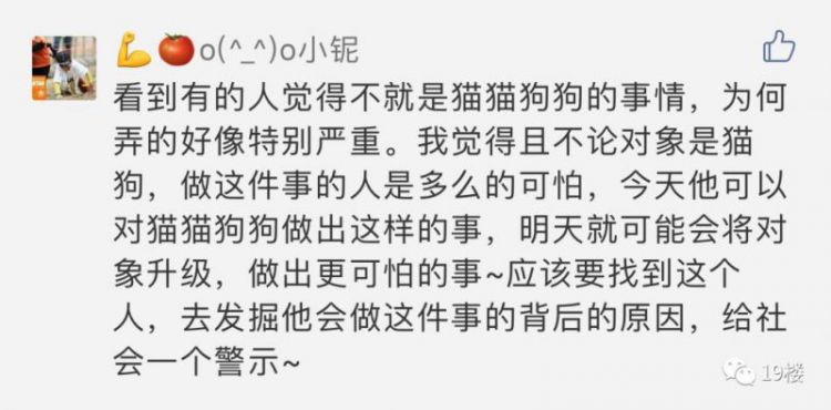                     悲剧了！朋友留宿后留下一袋“特产汤圆”，女子食后身亡...