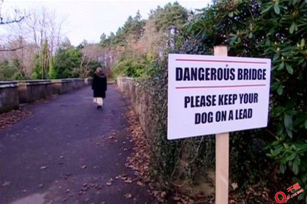 苏格兰诡异自杀桥：路过的狗狗离奇自杀身亡