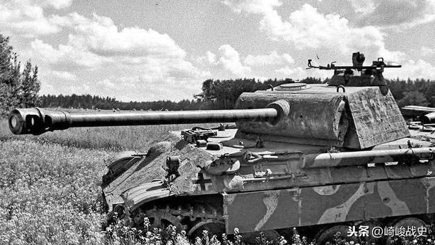 二战中，德国的王牌党卫军第5维京装甲师的战力究竟如何？