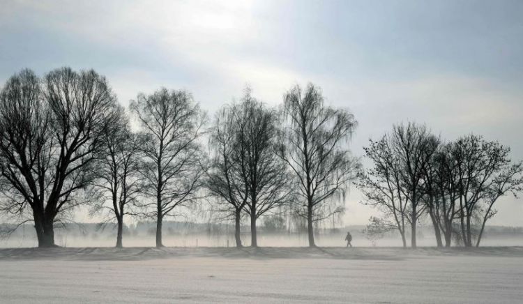 德国雪景