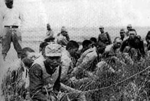 二战期间,有多少冲绳居民被日军屠杀或被日军强迫而自杀?