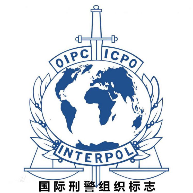 往事回眸：中国是如何加入国际刑警组织的？