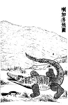 诸雨辰、胡韧奋：寻找怪物：中国古代的动物图像丨【文化一瞥】