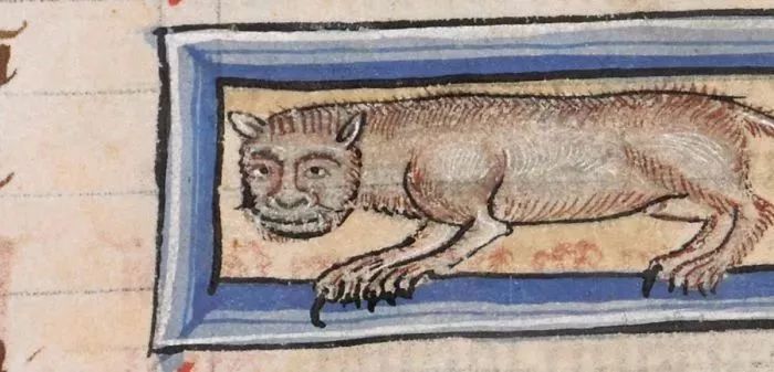 13张古代画里的猫，我吸的猫才不是这么丑！