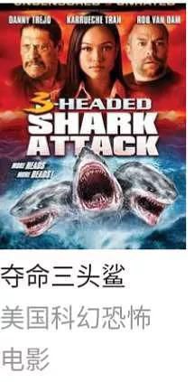 好莱坞鲨鱼系列遭吐槽，网友：鲨鱼到底有几个头！？