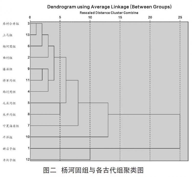 河南安阳杨河固遗址东周墓葬出土人骨研究