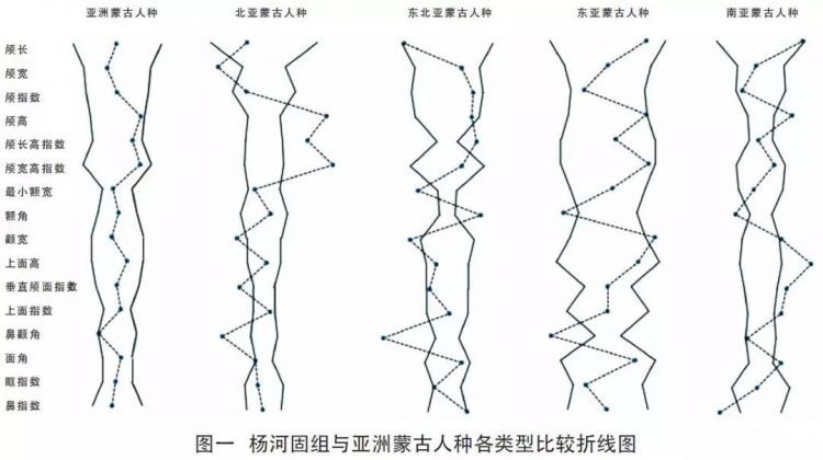 河南安阳杨河固遗址东周墓葬出土人骨研究