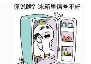 爆笑段子：你家冰箱里咋啥也不放呀？这样对得起冰箱么？