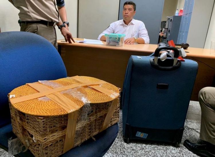 机场人员安检后，从这个俄罗斯游客行李中竟然发现只大猩猩