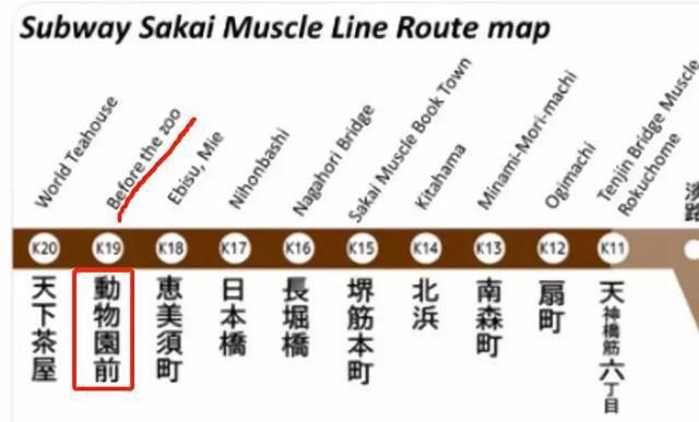 日本错用微软翻译，被迫推出猛男地铁线……
