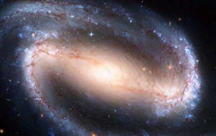 318会议上，科学家讨论银河系动物园假说：地球可能被圈养？