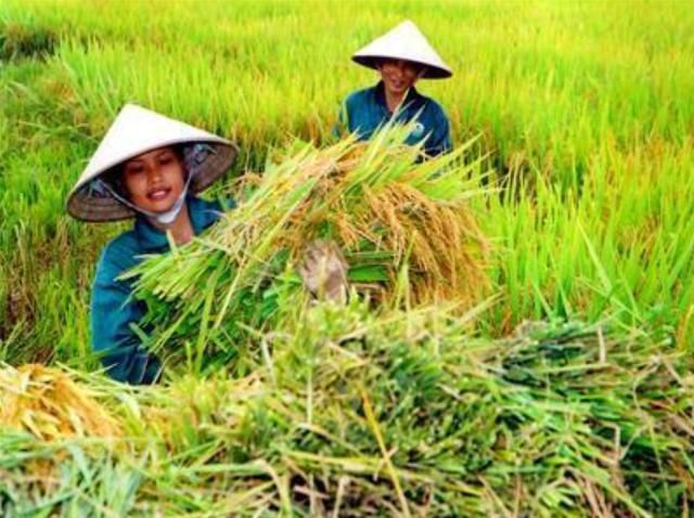 越南经济增长那么快，为何还是那么穷困潦倒呢？有三个致命原因