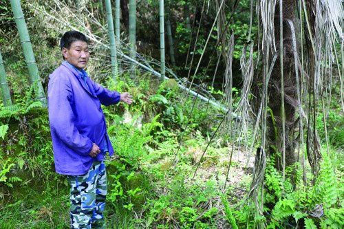 杜鹃花开祭英魂——空军大校张兵革命老区寻访祖父张子清牺牲地