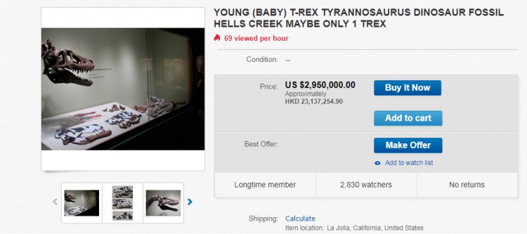 标价1975万元，世界上唯一的幼年霸王龙化石竟然都可以网购？