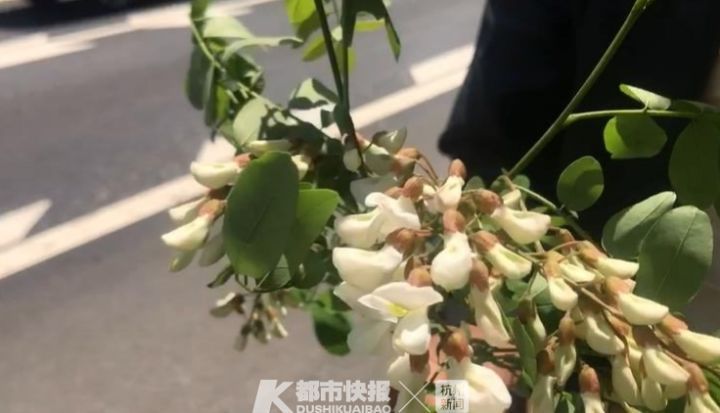 “实力宠妻”！老婆一句话，老公杭州高速上停车，为她摘花解馋！