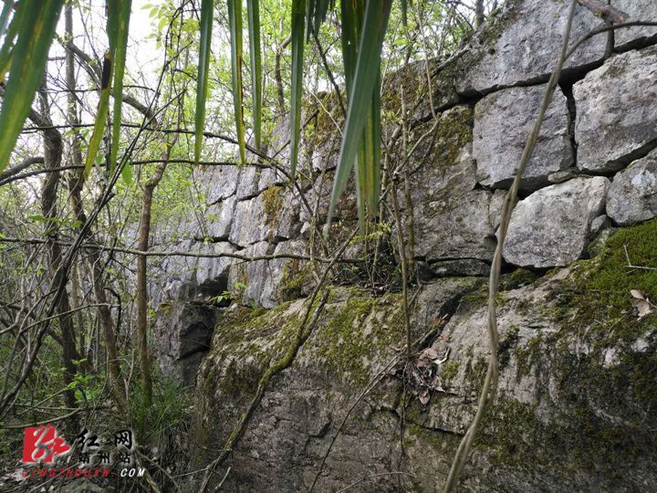 靖州：三桥村惊现疑似秦“镡成之岭”古城墙系列遗址