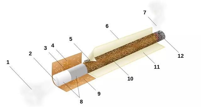 烟草简史：从典雅的烟斗到新朝的各类电子烟