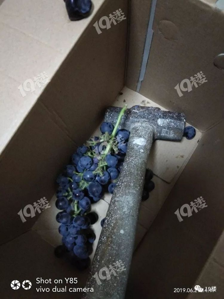 惊呆了，听朋友推荐网购了两箱葡萄，到货后竟然变成了水泥跟锤子？