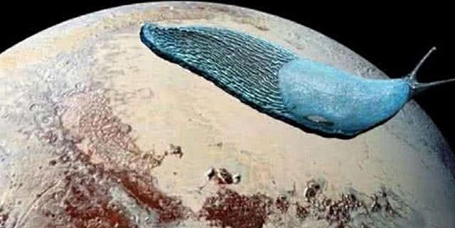 太阳系边缘出现巨型“蜗牛”，宇宙或存在比人类大亿倍的生物