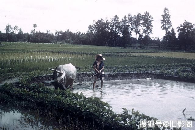 四川都江堰1944年，彼时的灌县生活