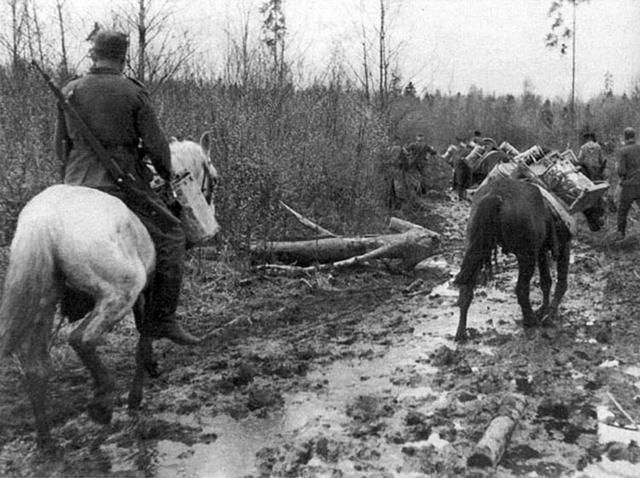 老照片：德军入侵拉脱维亚之后，怕的不是苏军也不是游击队