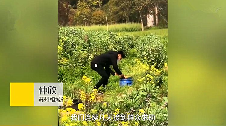 奇闻：3名江苏男子闲得太无聊，用鞭炮炸粪坑拍视频玩，被警方抓获还将被起诉