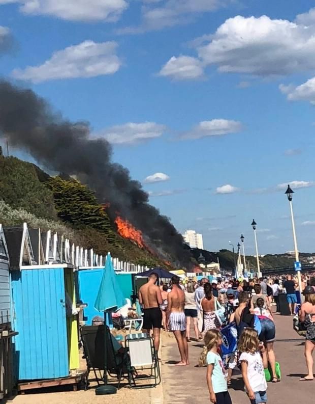 一根鱼刺引发的山火：英国女子海边度假屋烧开水，引发火灾