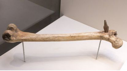 大汶口遗址被发现，发现遗骨上面有个箭头，解密了几千年前的谜团