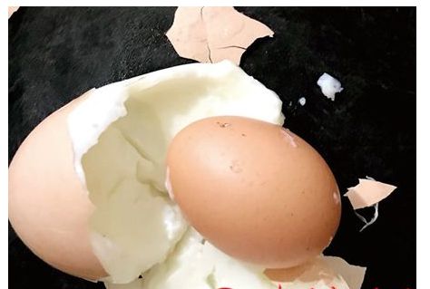 稀奇！家鸡生了个巨大的“蛋中蛋”