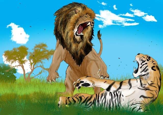 盘点历史上真实发生过的16次狮虎斗，老虎死亡次数更多