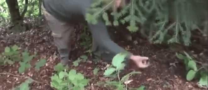 男子跑山上采蘑菇，却捡到三大桶“硬币”，细看之后直接报警