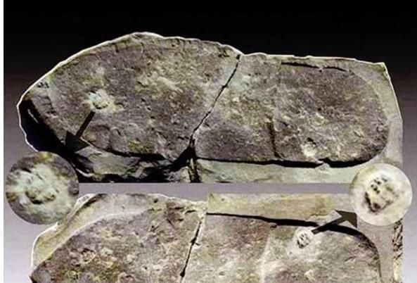 28亿年前的发现让考古者惊疑：难不成人类起源别有所指？