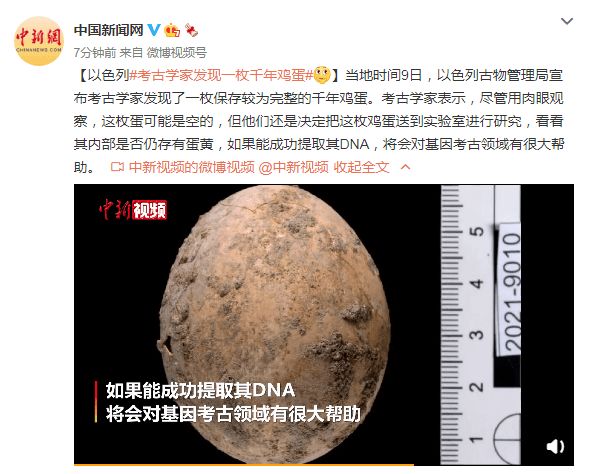 以色列考古学家发现一枚千年鸡蛋！专家：可能是空的