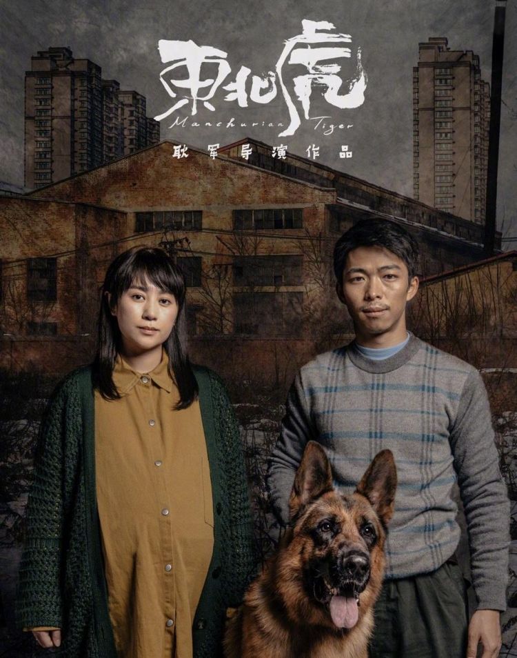 上海电影节红毯：朱一龙憔悴、张天爱忙着凹造型、张译卖力宣传