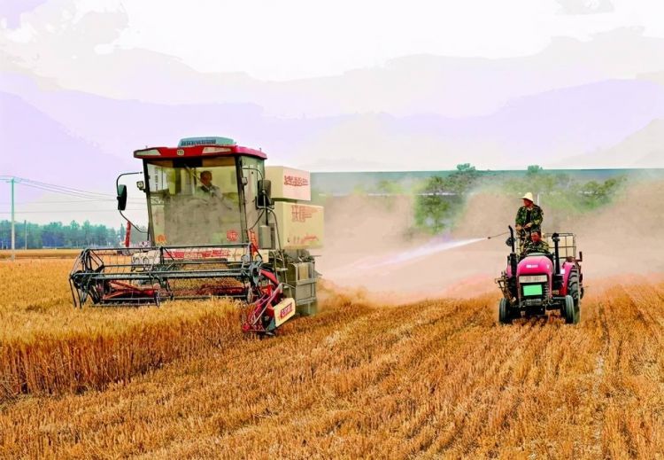 割麦污染环境：如何防止农民感叹之奇闻？