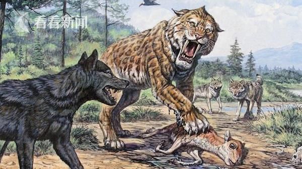 西伯利亚发现3万年前巨狼头部头发牙齿保存完好