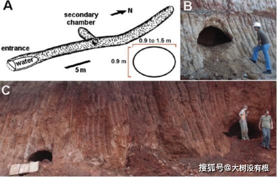 巴西发现一处神秘隧道，距今1.3万年，研究者称建造者不是人类