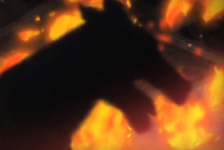 《宝可梦》奇闻趣事：动画中的熔岩队手下，封面神兽水君！