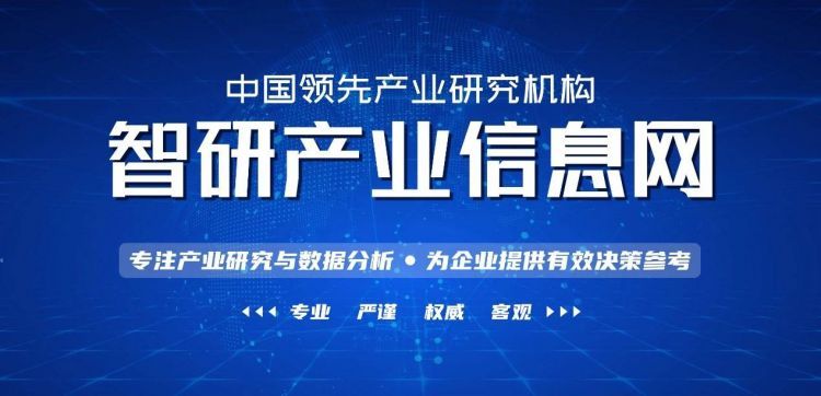 2022-2028年中国工业互联网平台行业市场发展前景及投资风险评估报告