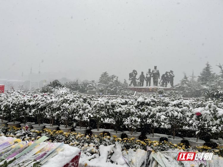 缅怀！湘潭市民冒雪排队向毛主席铜像敬献鲜花