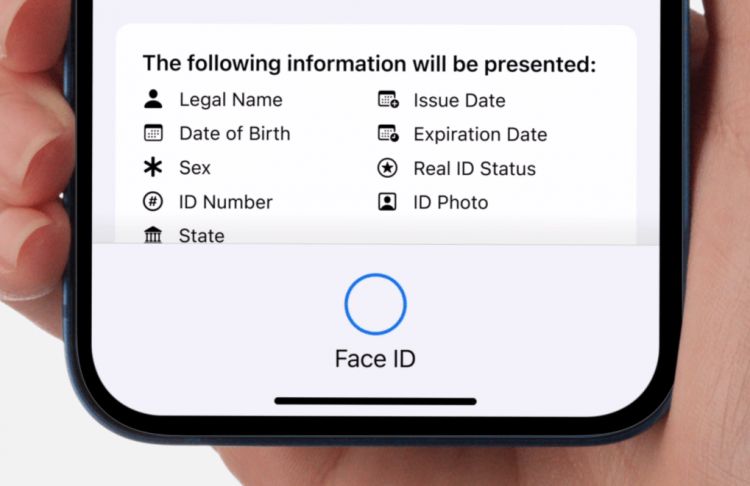 亚利桑那州成为美国首个推出苹果iPhone电子驾驶证的地区